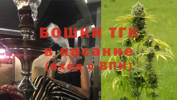 эйфоретик Елизово