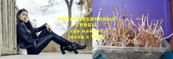 mdpv Елабуга